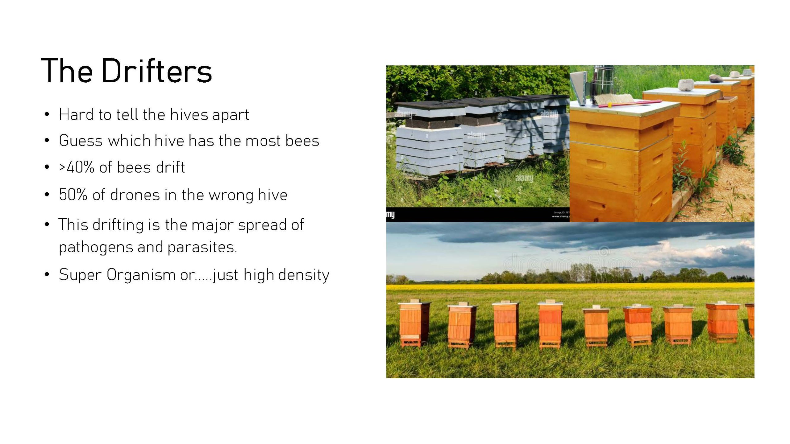 Where To Stick Your Hives_Page_4