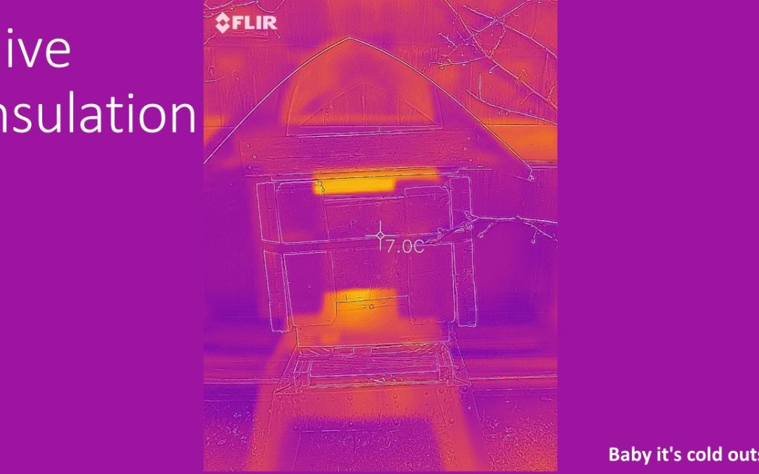 Hive Insulation – Baby its cold outside